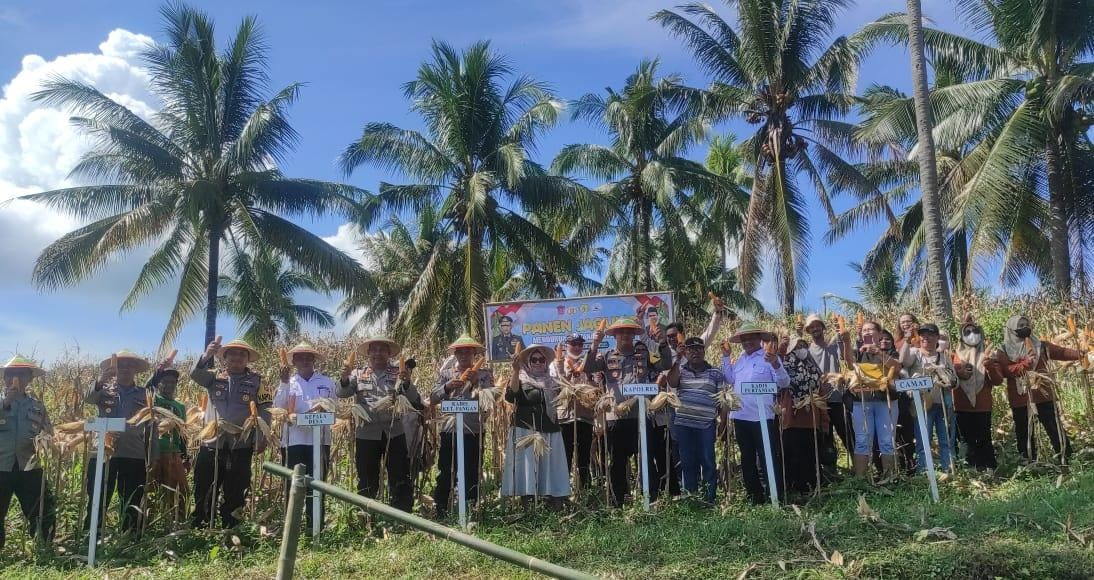 Pemkab Gorontalo Utara dan Polres Gorontalo Utara Panen Jagung Mendukung Ketahanan Pangan