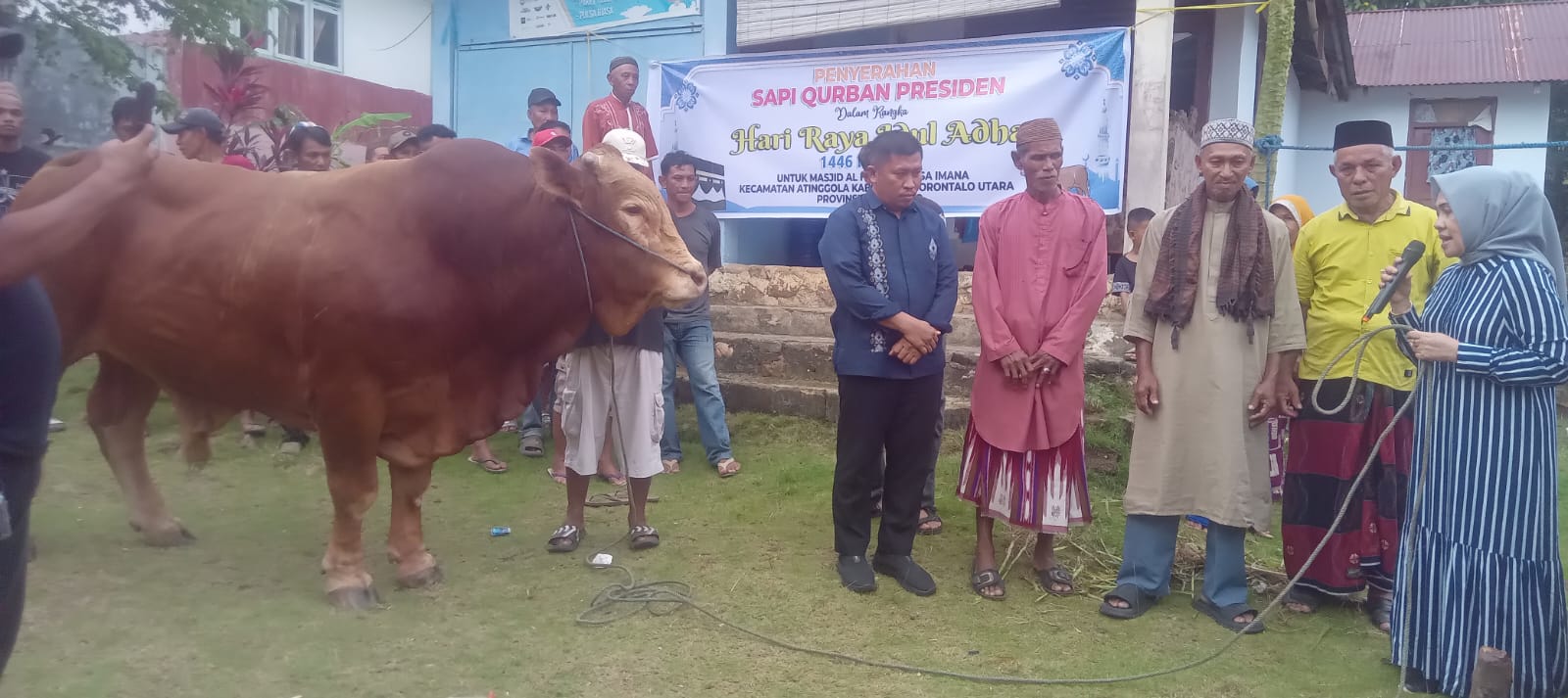 PJ. Bupati Gorontalo Utara Menyerahkan Bantuan Sapi Kurban Presiden RI