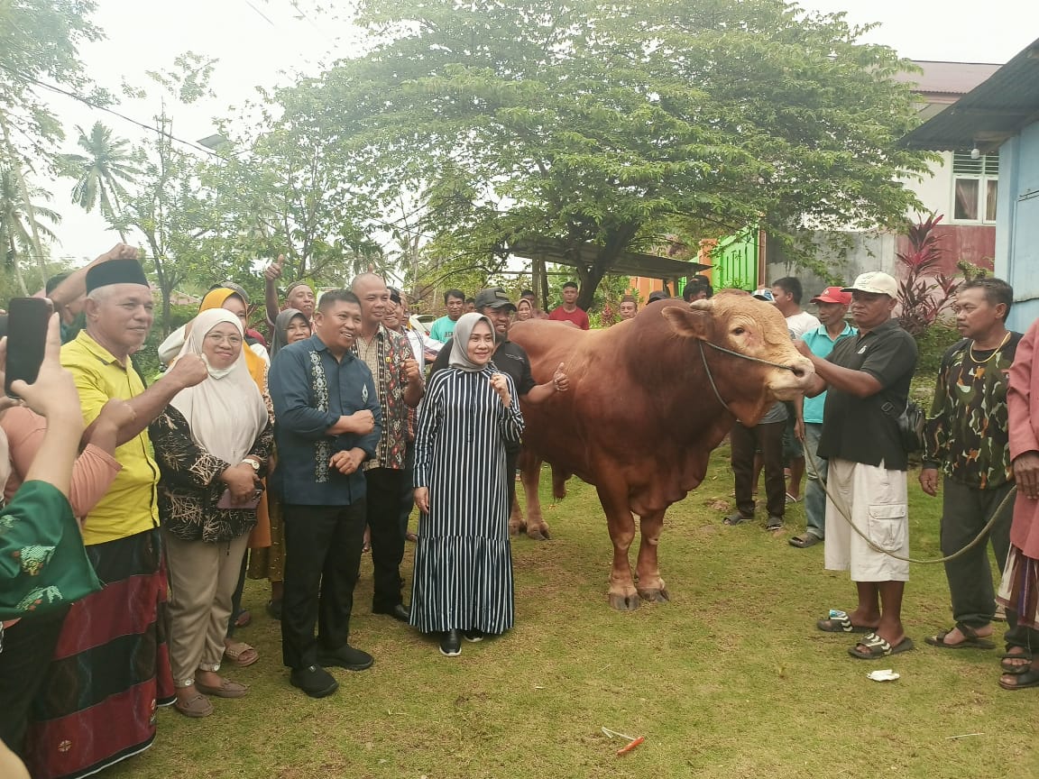 Jumlah Hewan Kurban di Kabupaten Gorontalo Utara  642 ekor, Presiden RI Prabowo Sumbang Sapi Limosin
