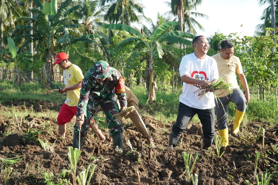 Bupati Thariq Modanggu Tanam Bibit Pakan Ternak di Mini Ranch Desa Molantadu untuk Kebutuhan Ternak G210