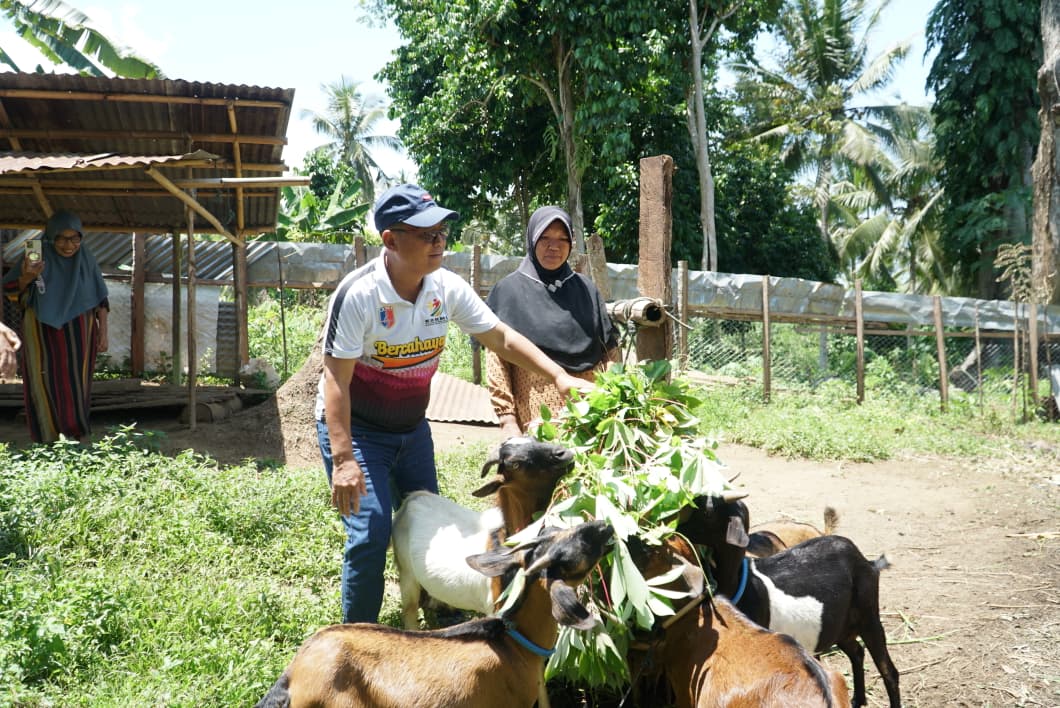 Bupati Thariq Turun Langsung Tinjau Persiapan Kandang Ternak di Atinggola, Dukung Pengembangan Peternakan Lokal