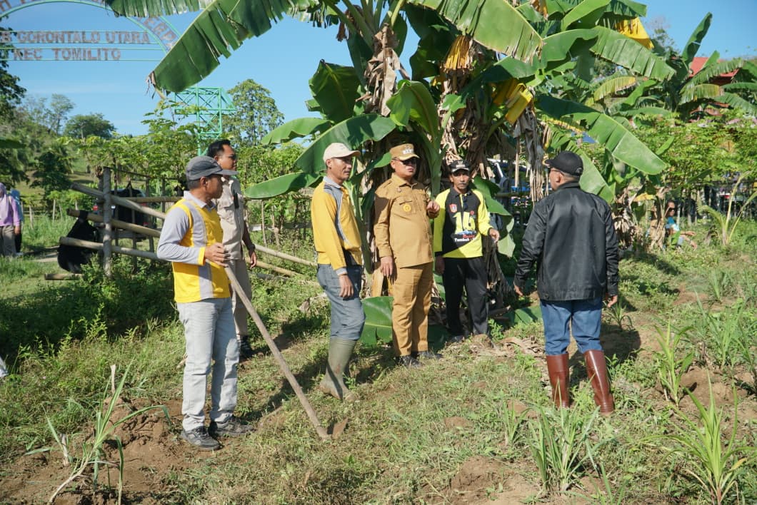 Bupati Thariq Modanggu : Mini Ranch Dambalo Markas G210 Harus Jadi Contoh, Pantau Langsung Kerja Bakti