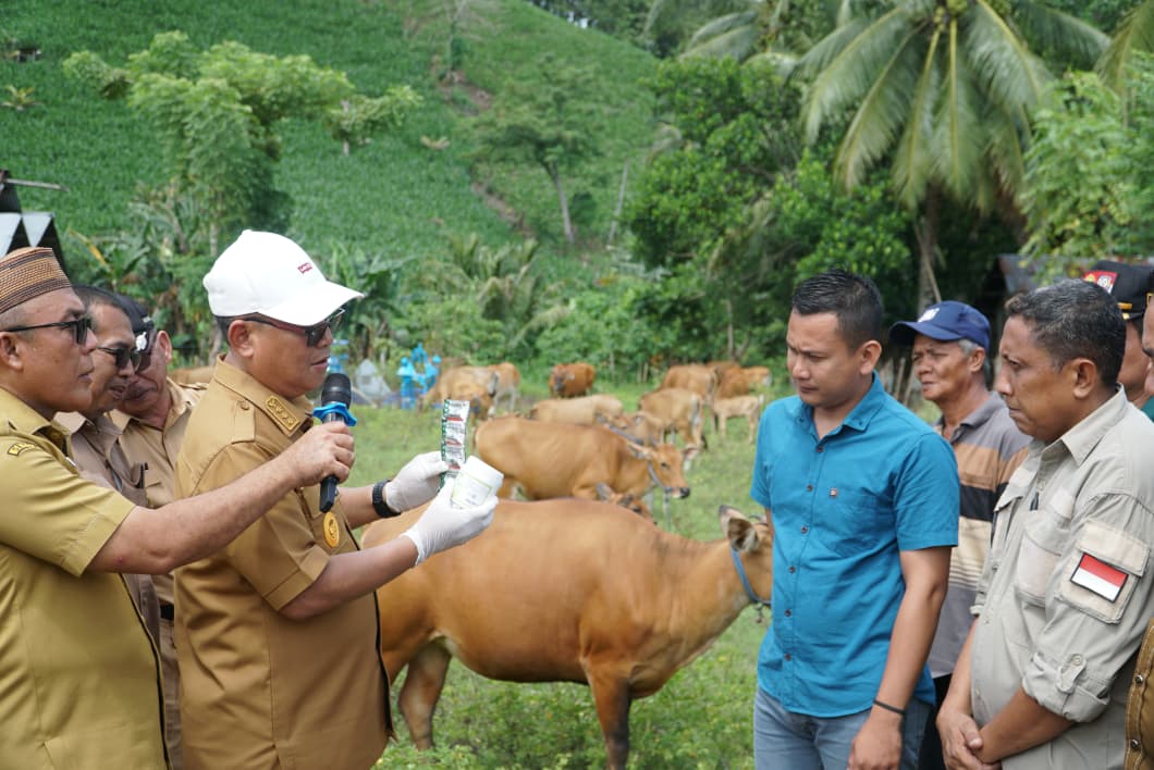 Bupati Thariq Modanggu Meninjau Ternak Sapi Masyarakat Desa Hiyalo’oyile Kecamatan Anggrek
