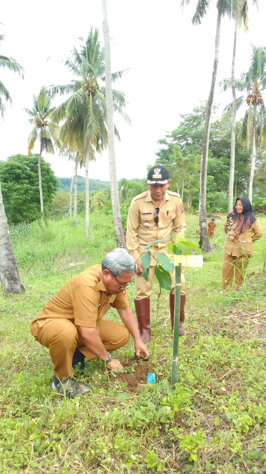 Sekda Suleman Lakoro Hadiri Kegiatan Gerakan Agro Mopomulo (GAM) Di Desa Huidu Melito Kecamatan Tomilito